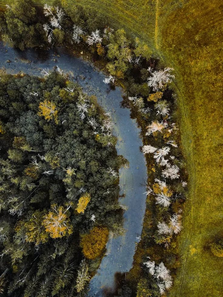 Nature finance background